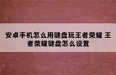 安卓手机怎么用键盘玩王者荣耀 王者荣耀键盘怎么设置